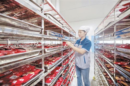 道真 做強做優產業鏈，賦能附著式升降腳手架高質量發展